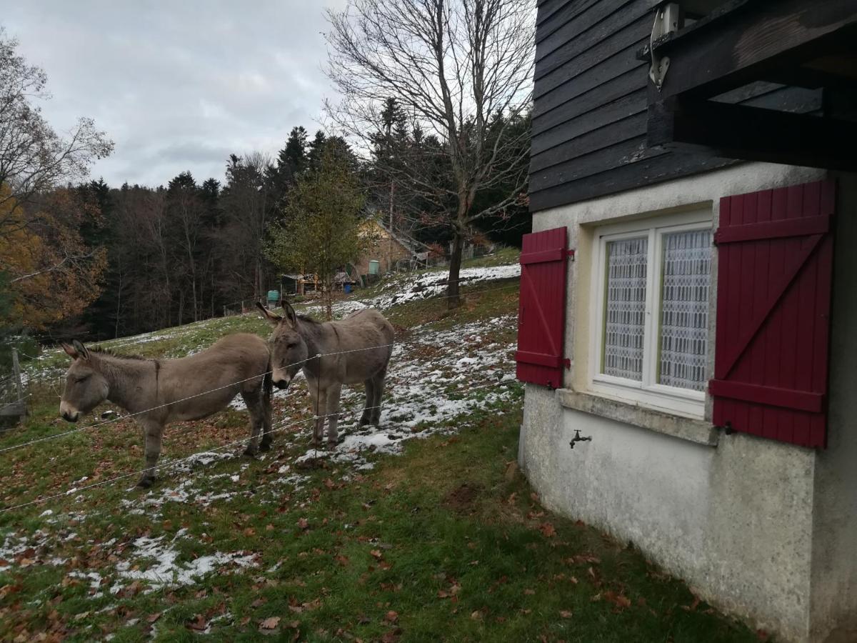 Le Chalet De Rothenbuhl Dabo Exterior photo
